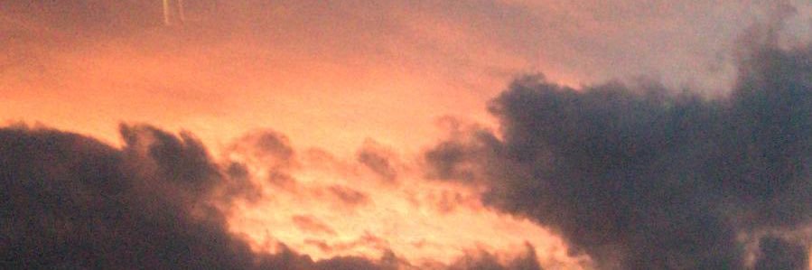 nils_ayder's profile banner image