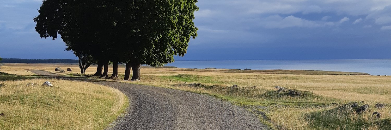 robert_holmgren's profile banner image
