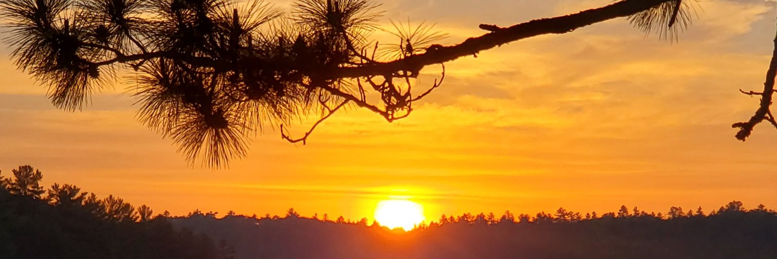CherylJacobb's profile banner image