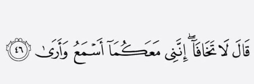 hagar__adel's profile banner image