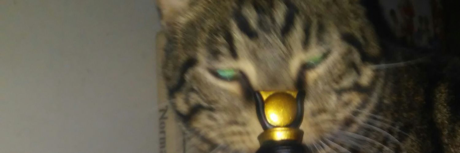 Sb1anchard's profile banner image