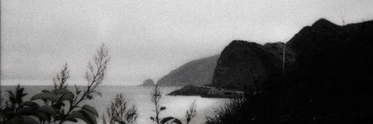 𝐬𝐚𝐯𝐞𝐢𝐫𝐚. banner