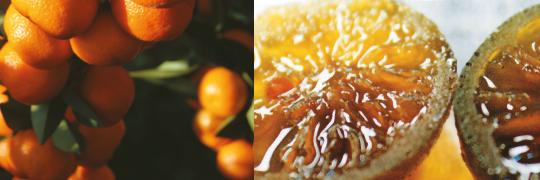 ilverochinotto's profile banner image