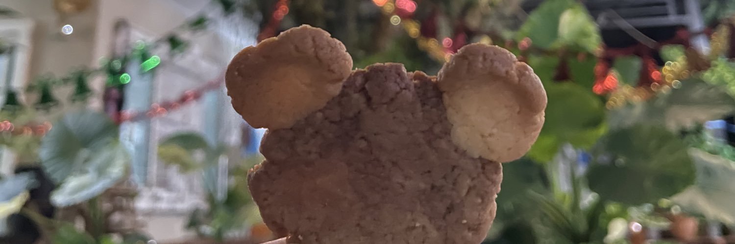 dnopdip's profile banner image