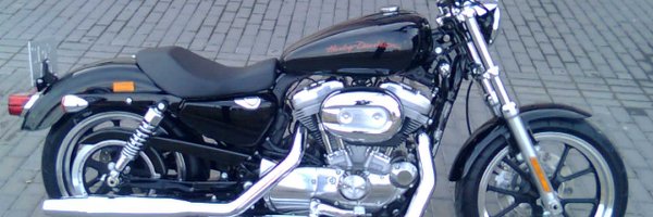 flormasom Profile Banner