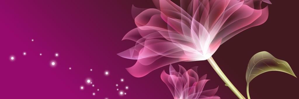 srm_php's profile banner image