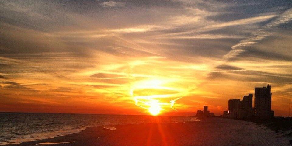 Saketh Myneni banner