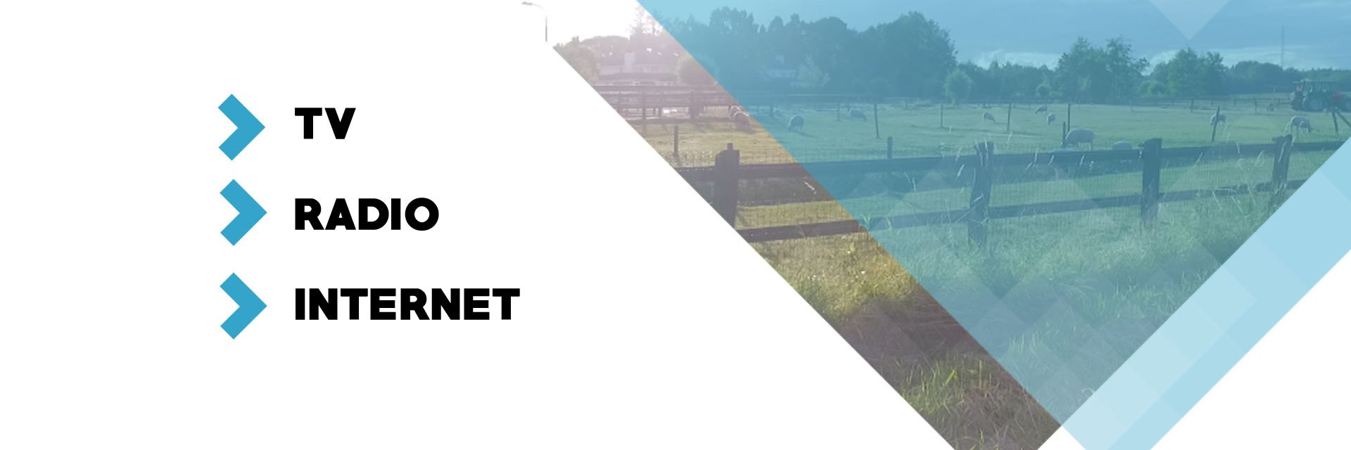 MoergestelTV's profile banner image