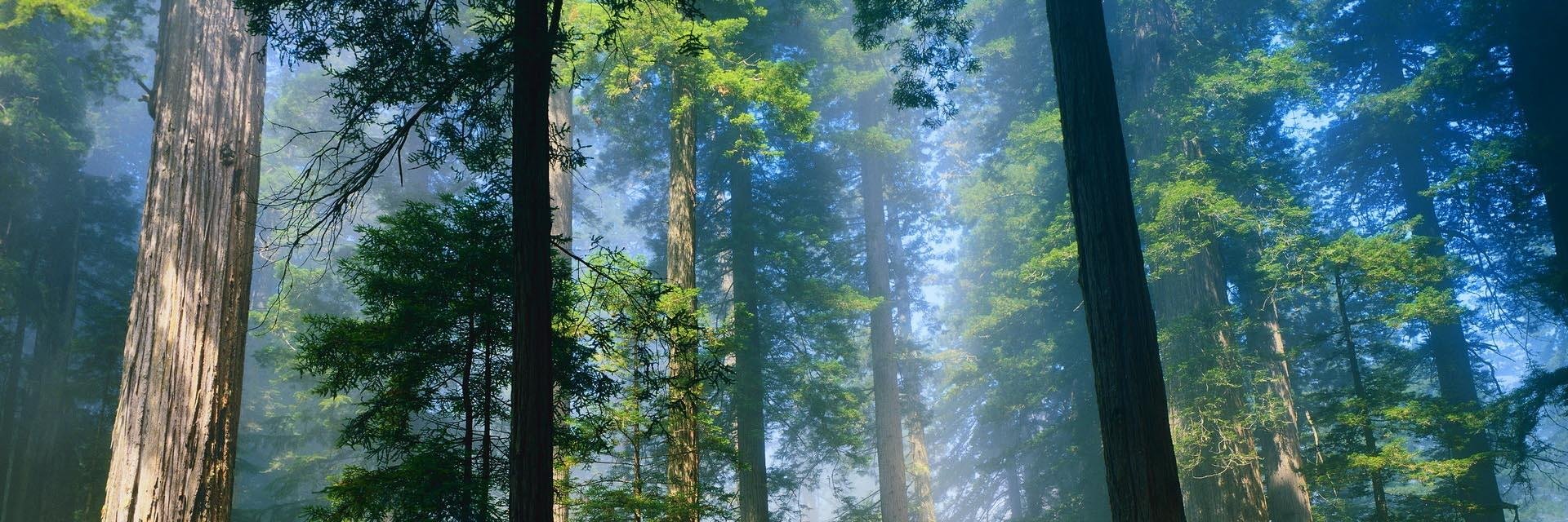 Brynjholf's profile banner image