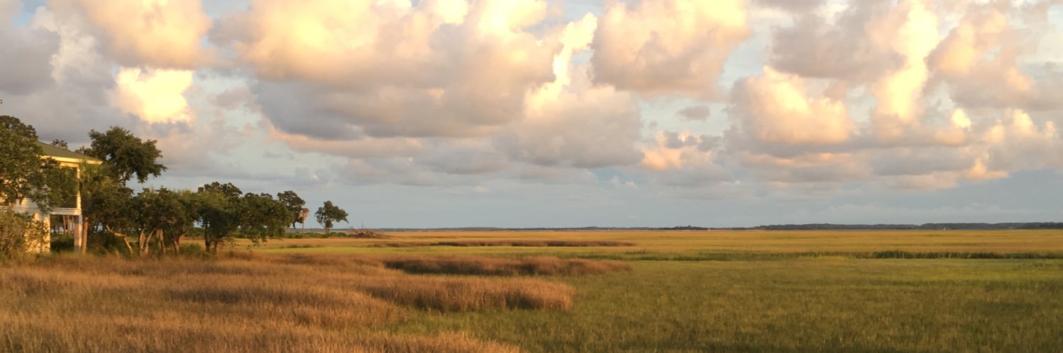 wellnessprodad's profile banner image