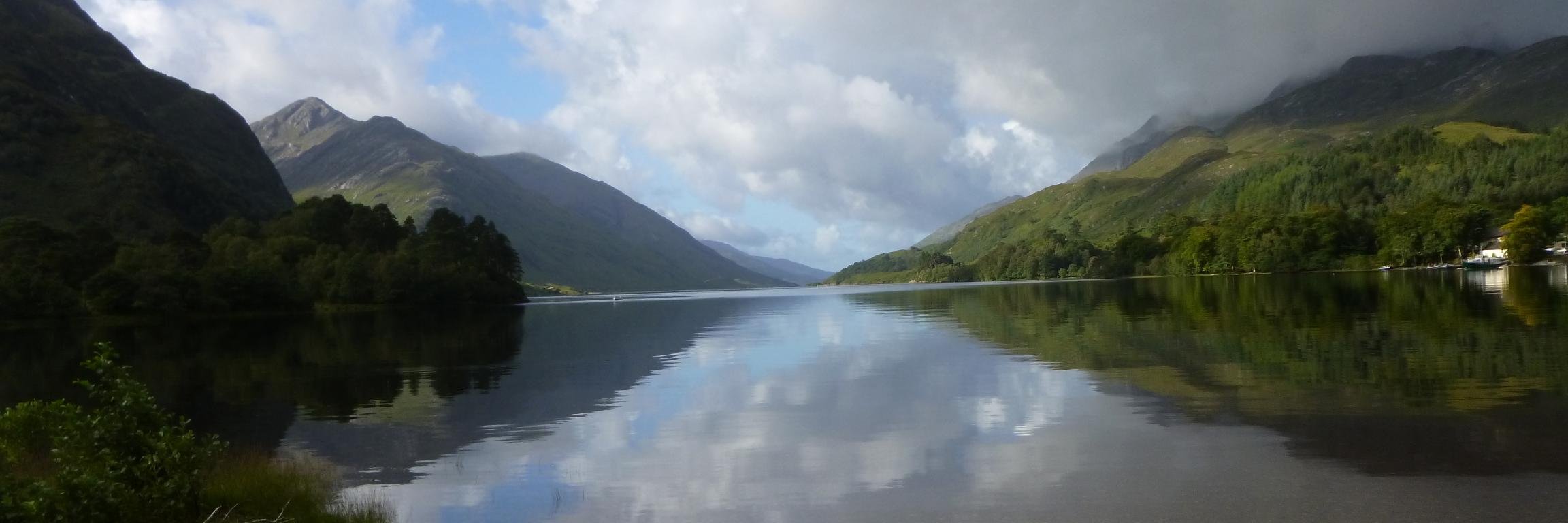 Stephen Woollard banner