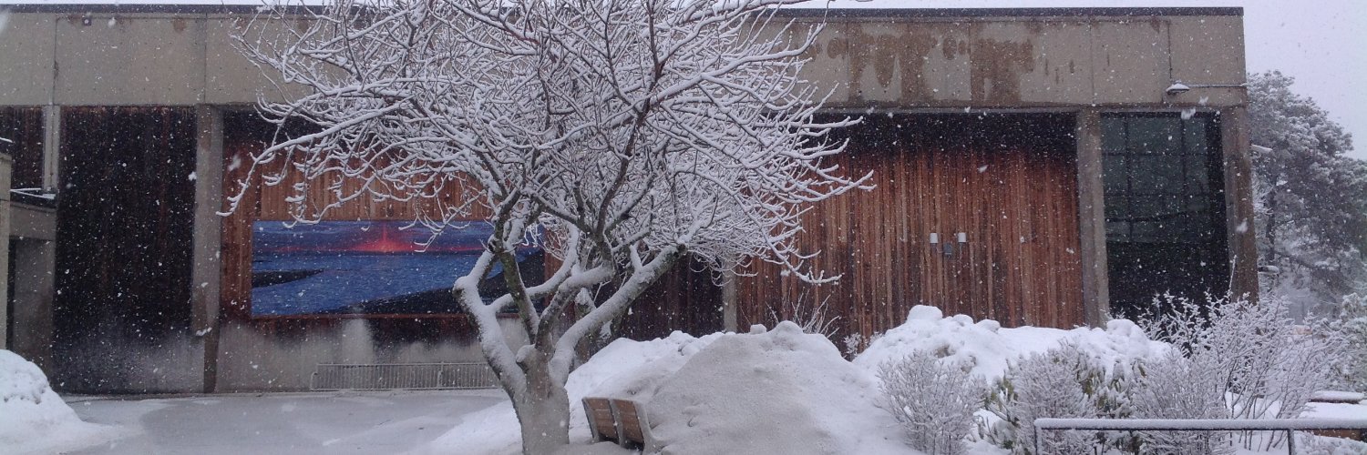 Ms. Orlandella banner