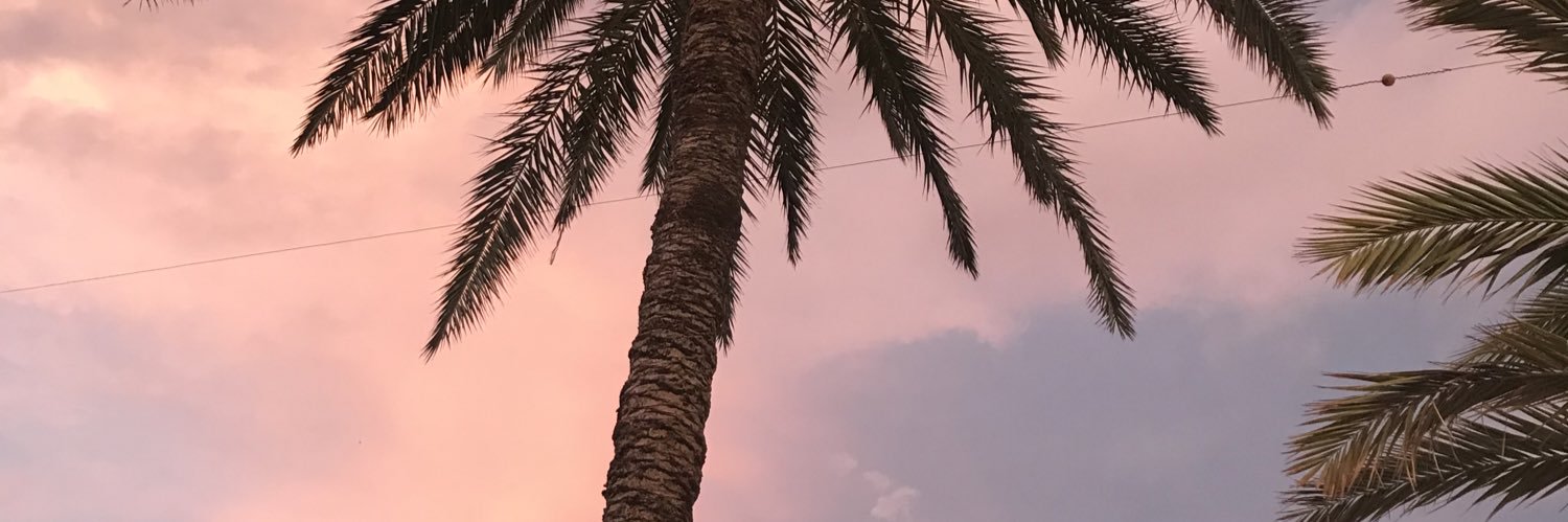 ppetrazeta's profile banner image