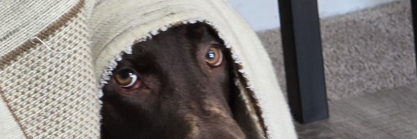 AngeloD629 Profile Banner