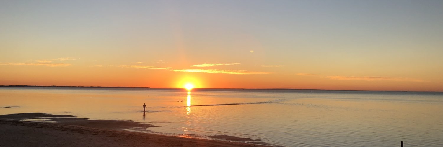 mattvic69's profile banner image