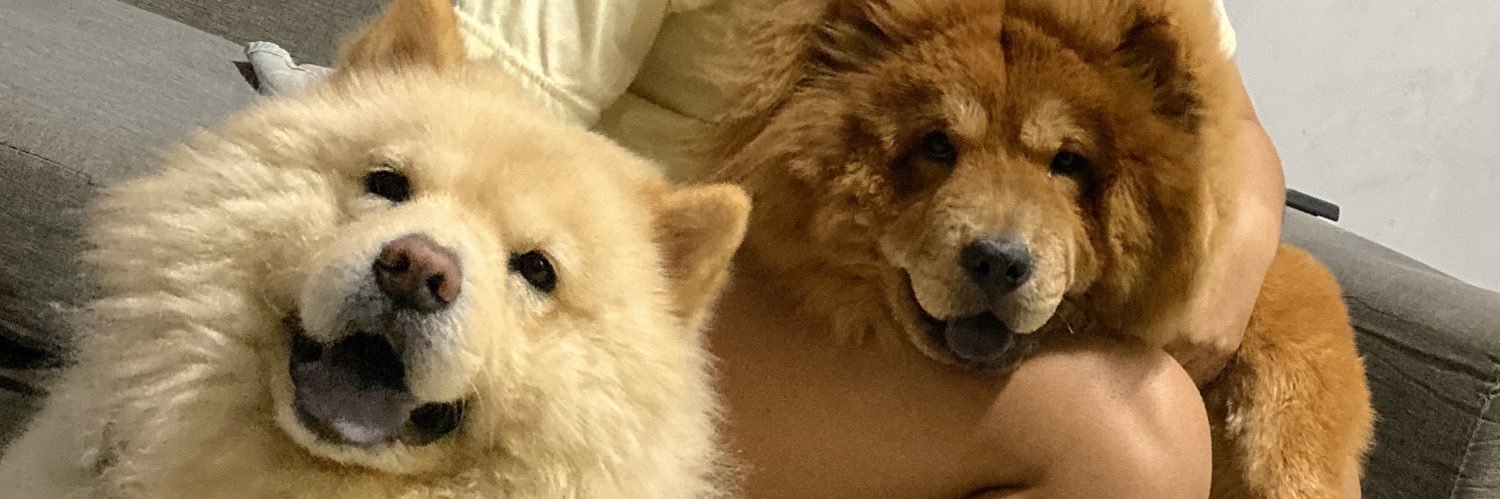 _niiicooolleee's profile banner image