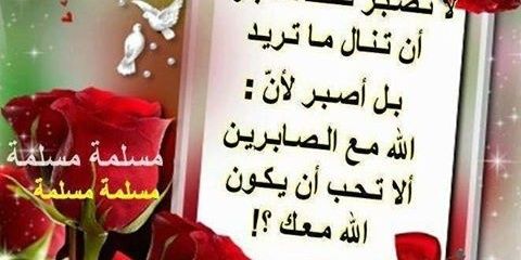 0aa86a5b4dd4469's profile banner image