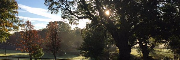 MusicalDora Profile Banner