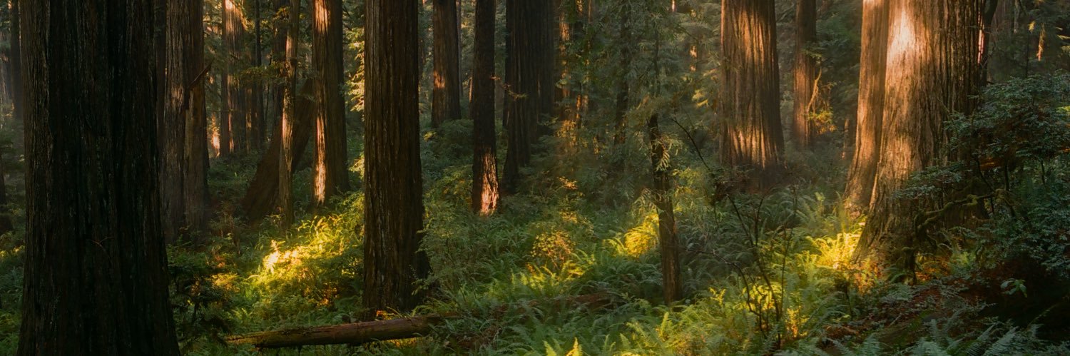 ryanadrift's profile banner image