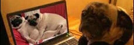 DJCoonSki's profile banner image