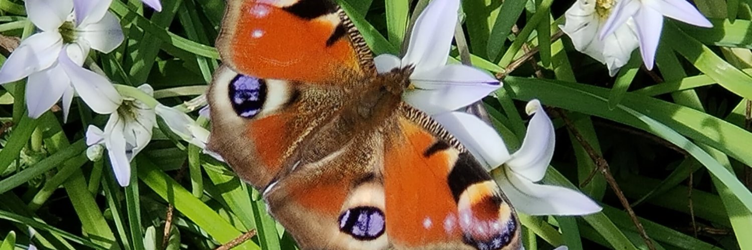 greenukhouse's profile banner image