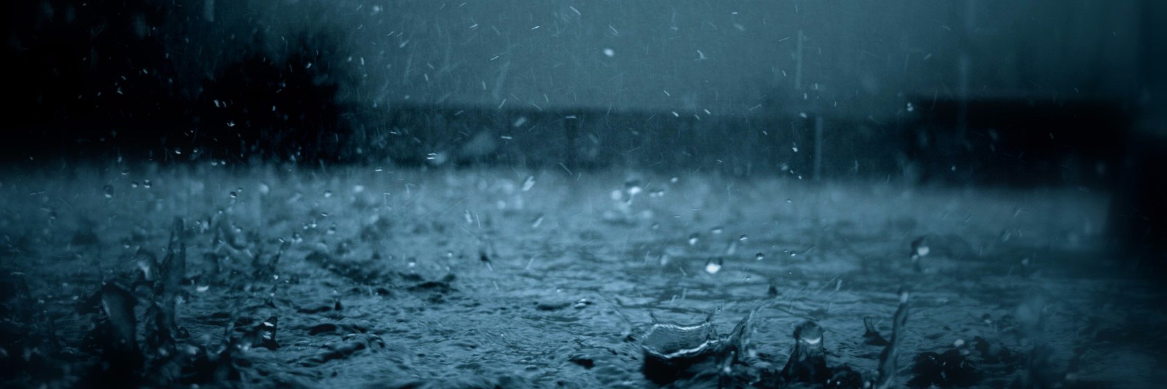 taran banner