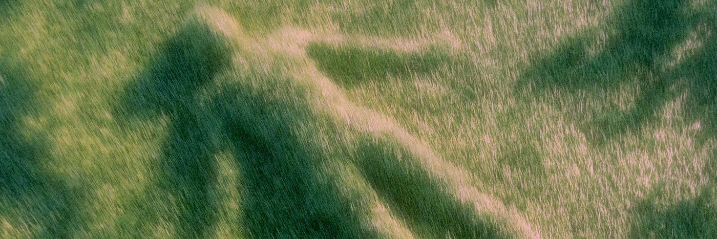 treludes's profile banner image