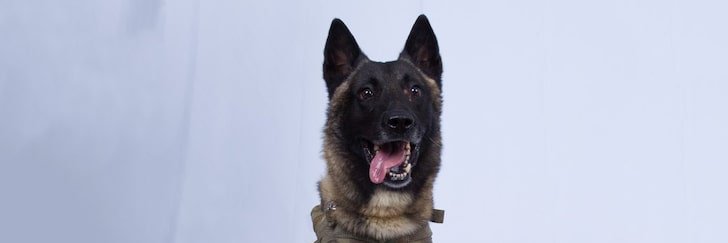 TexasTea46's profile banner image