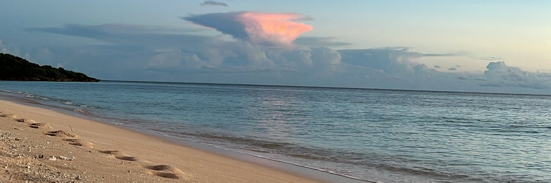pompom503's profile banner image