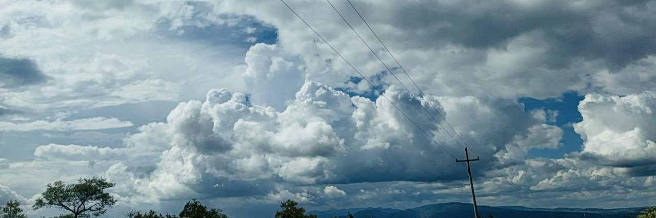 carmennh1111's profile banner image