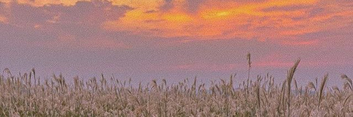 softlydiona's profile banner image