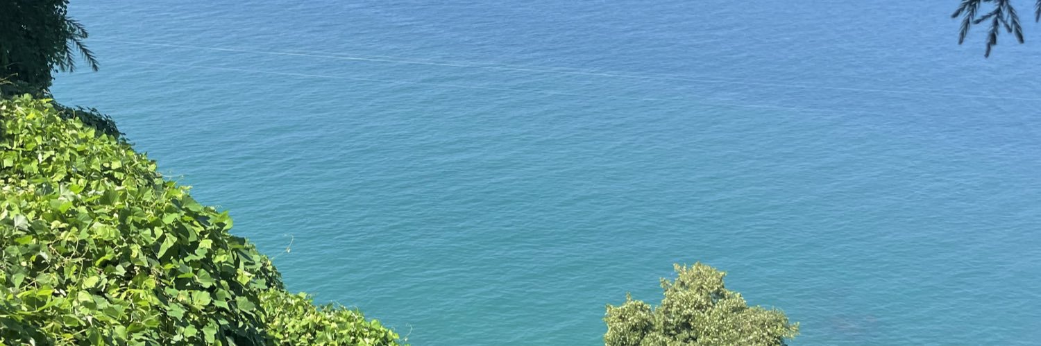 ah__oka's profile banner image