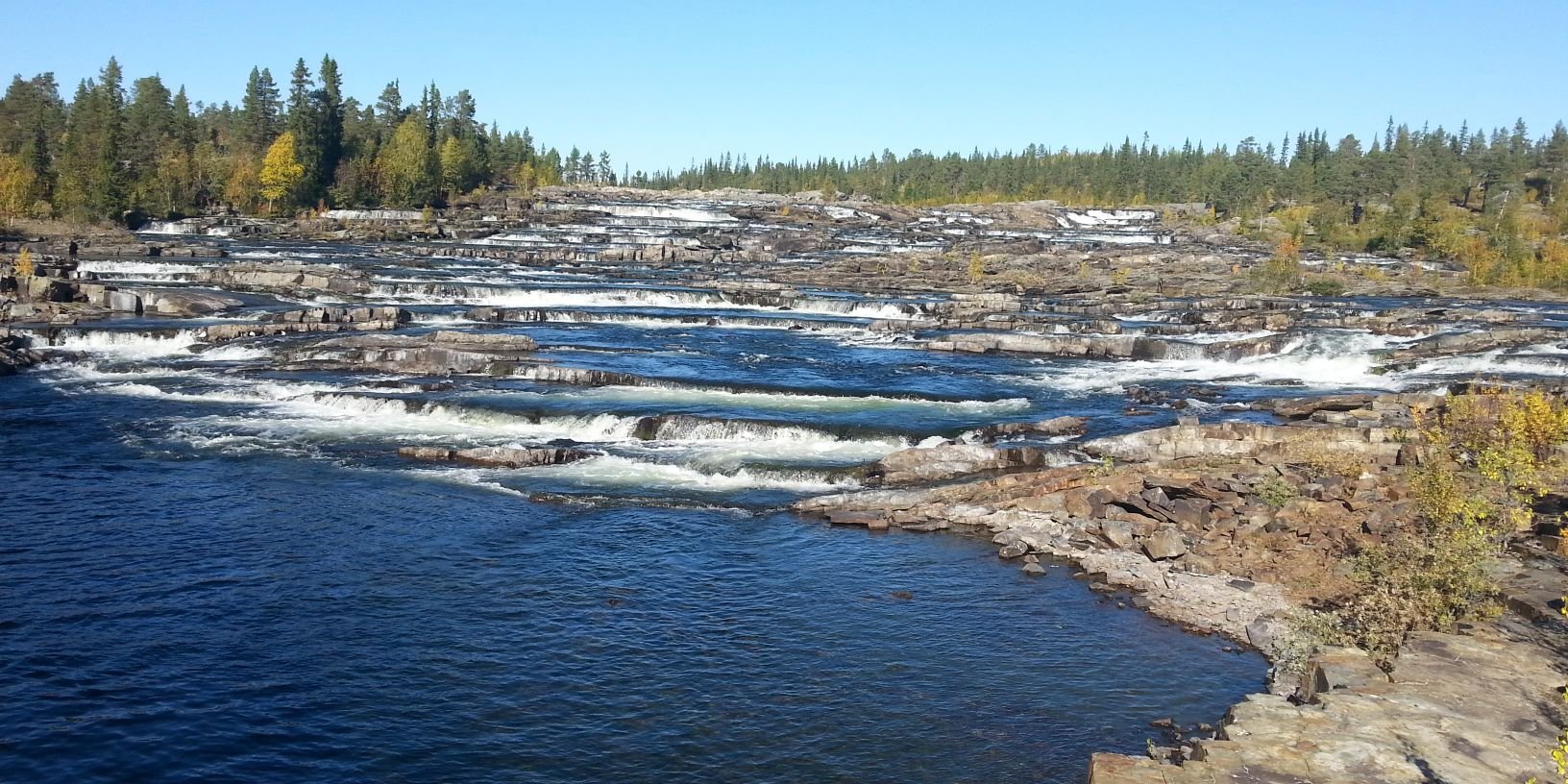 dittenodatten banner