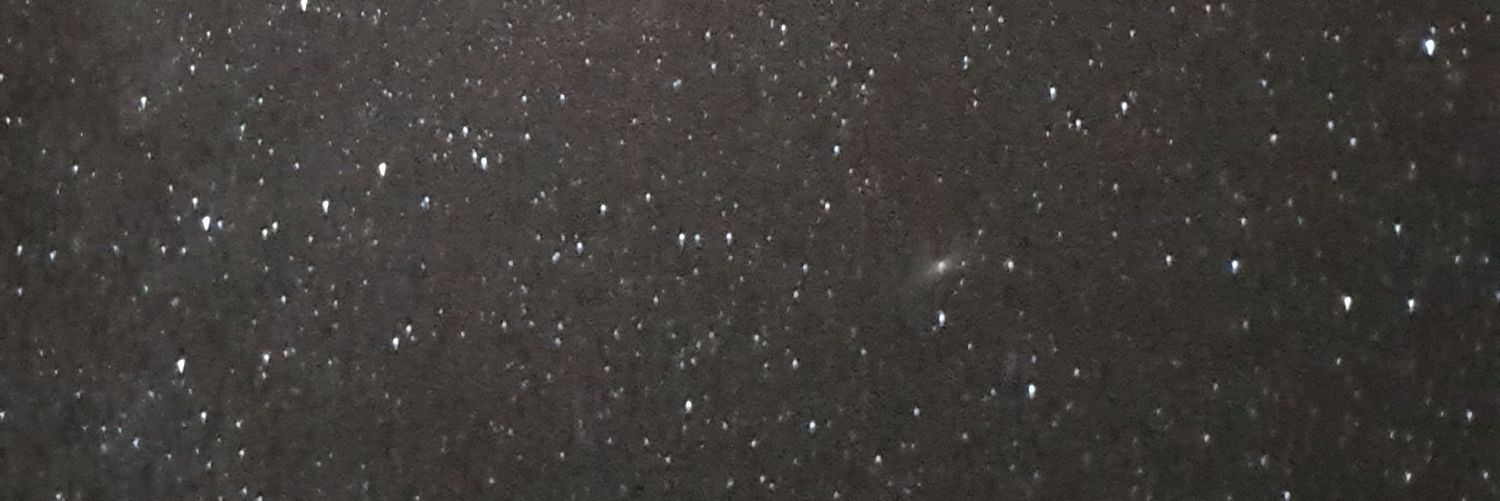 encarna mccoy banner