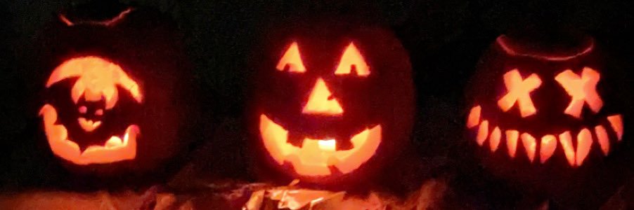 lily__rae's profile banner image