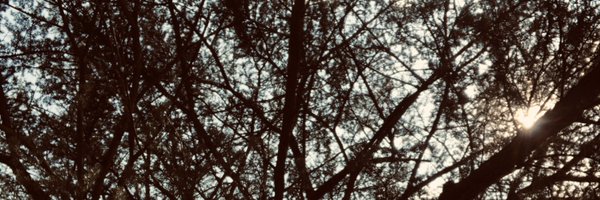 Msizi_001 Profile Banner