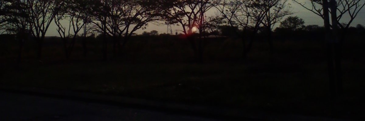 atapa_z's profile banner image