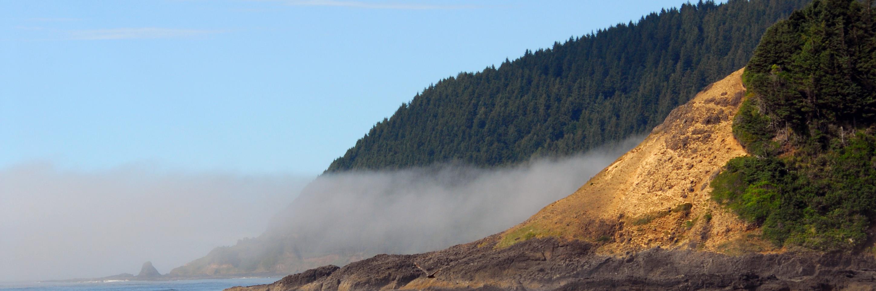 Kevin Lewis banner