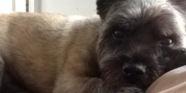 alexisalli613's profile banner image