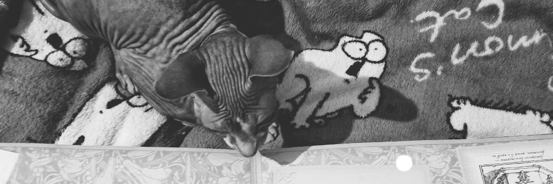 Babay_ka's profile banner image