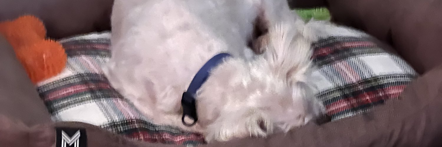 Angela Wilson 💜💛🌪️🌴🧡🤘🏽👑🐐 banner