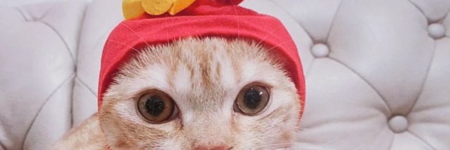 aoisora7017's profile banner image