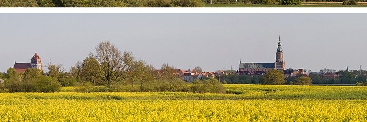 TranslatorRuth's profile banner image