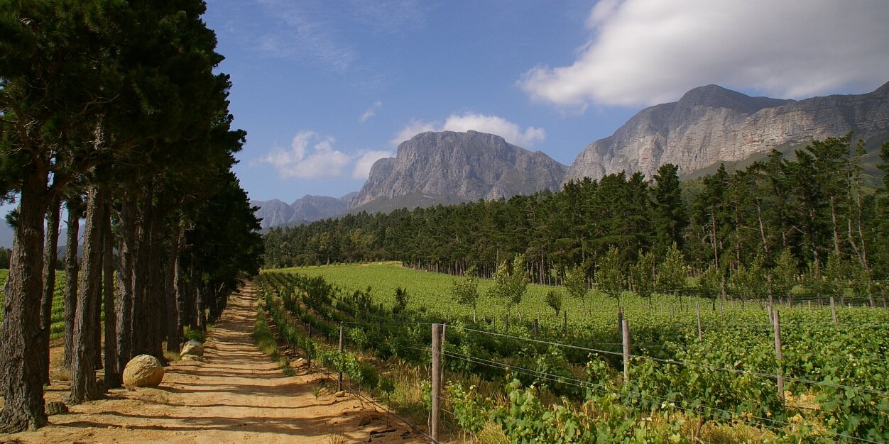 Idiom Collection banner