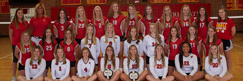 MDHSvolleyball's profile banner image