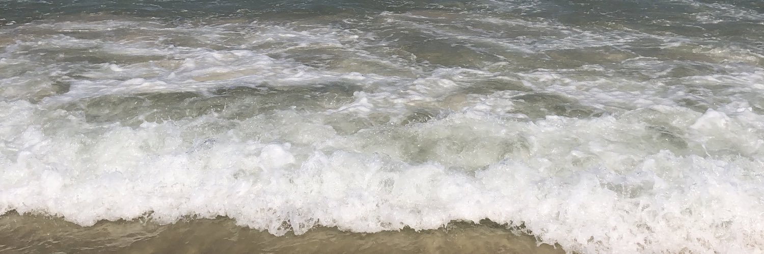 VictoriaWeglin's profile banner image