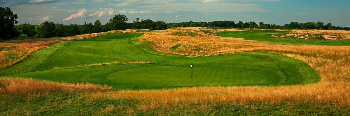 Ross Taylor 🇨🇦 🏌️‍♂️ 🍺 banner