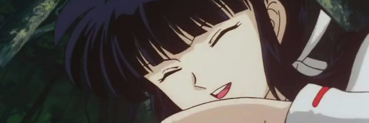 bunny the cat banner