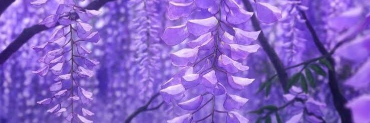 TazumiSosuke's profile banner image
