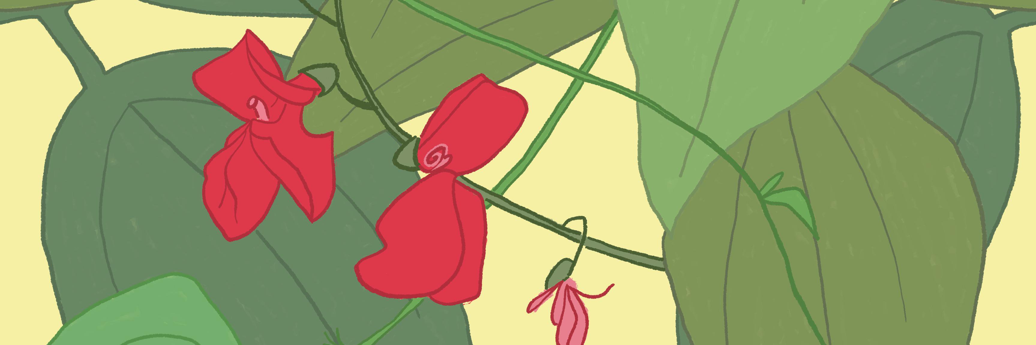 yaelsnail's profile banner image